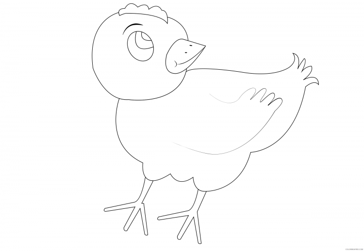 Цыпленок раскраска для малышей