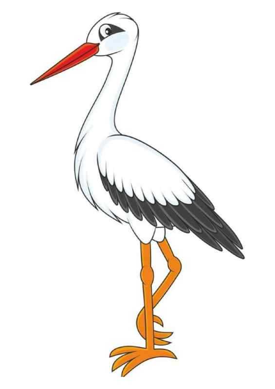 Аист раскраска для детей