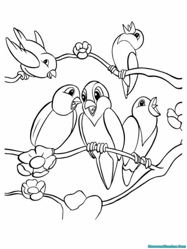 Павлин раскраска для детей