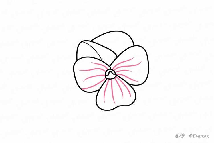 Рисунки лилий для срисовки