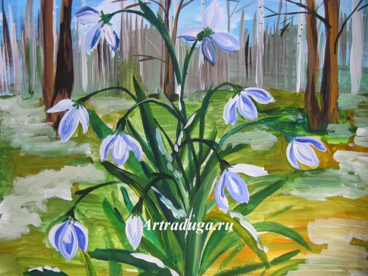 Подснежники на белом фоне