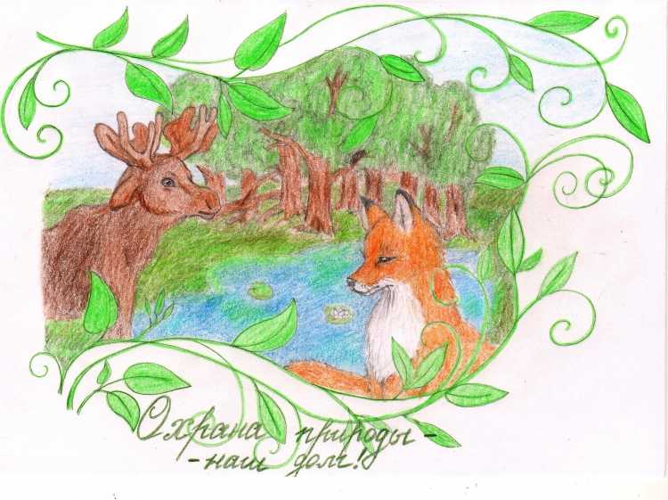 Рисунок на тему охрана природы