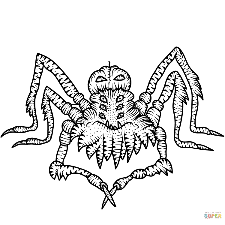 Разукрашка паутина человека паука