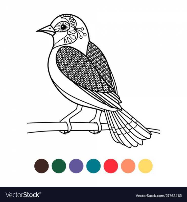 Птица на ветке раскраска