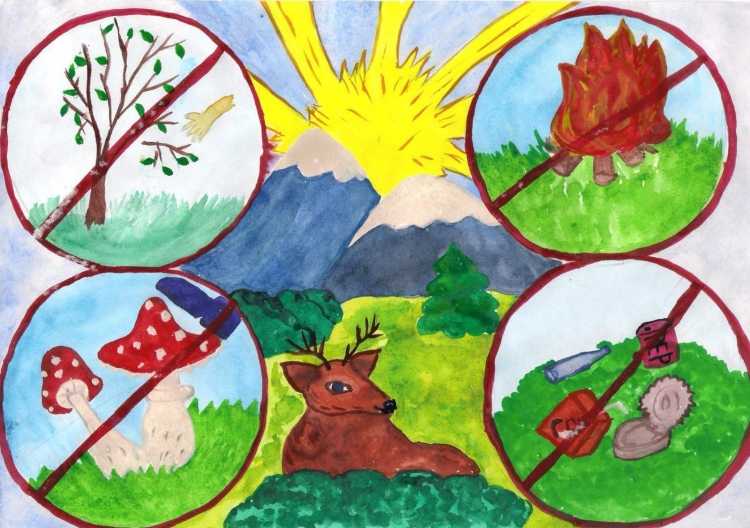 Охрана природы плакаты для детей