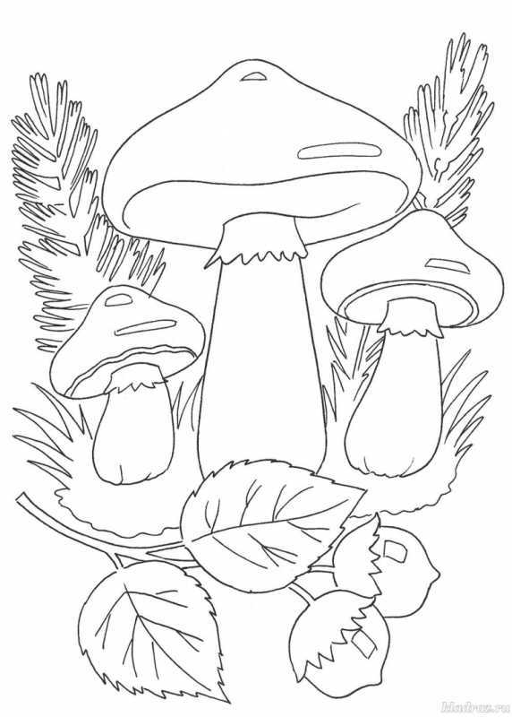 Разукрашка грибы Рыжик