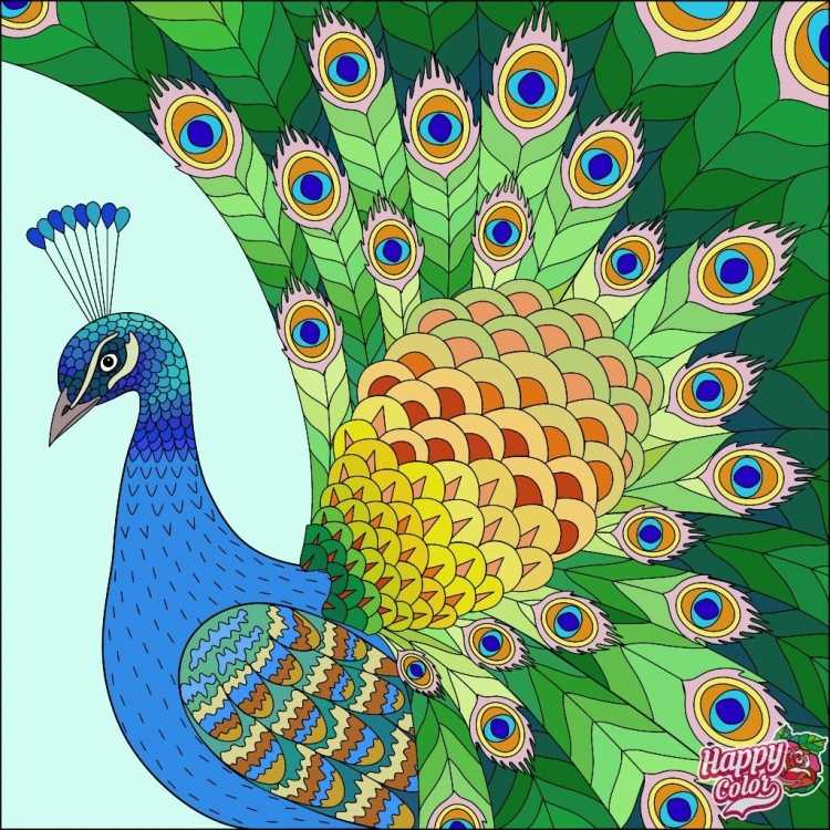 Раскраска павлина