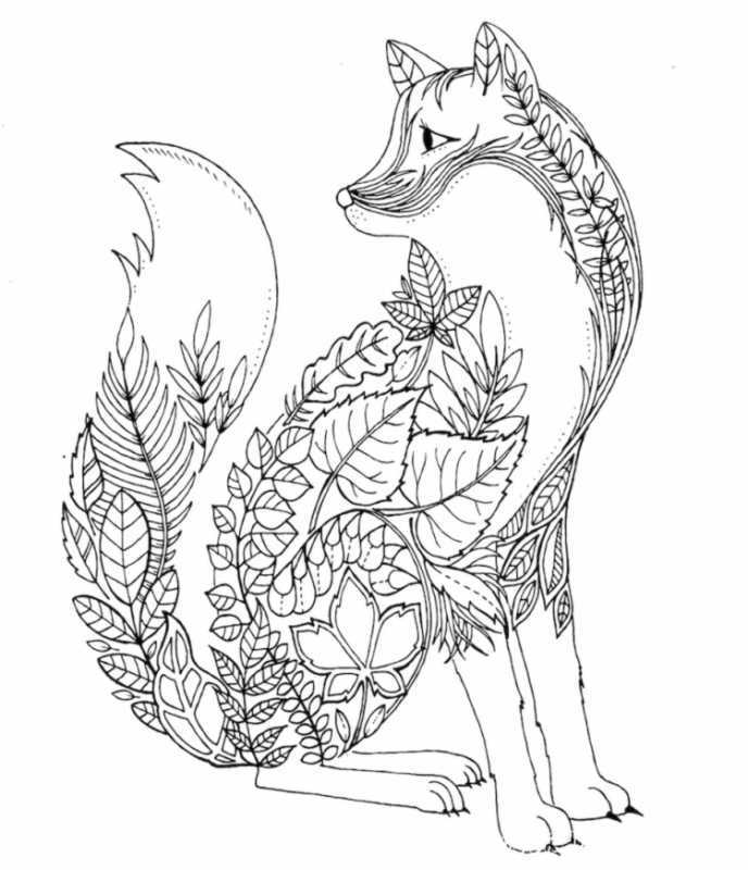 Раскраска лиса