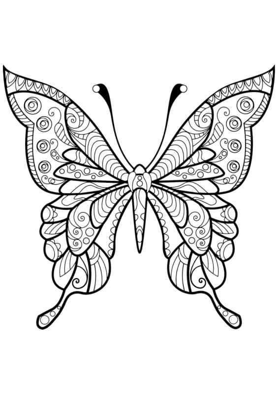Раскраска "бабочки"