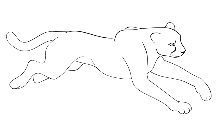 Сервал кошачьи