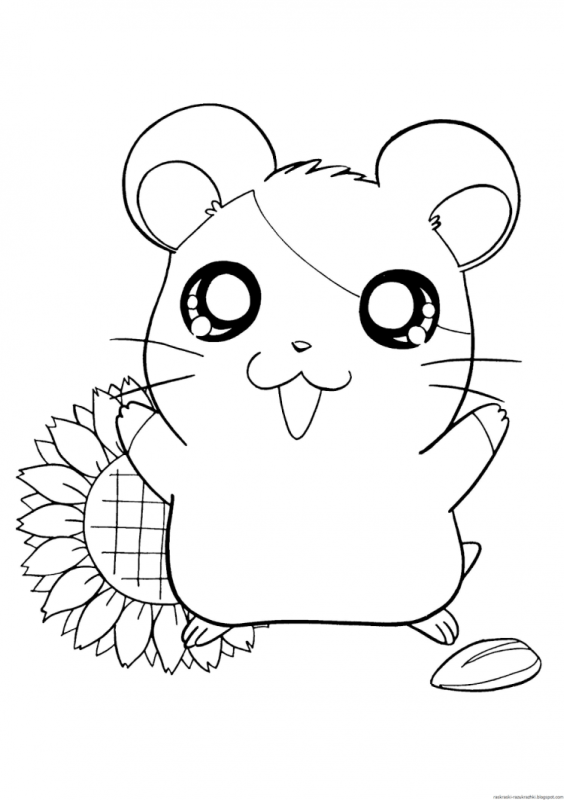 Хомячок раскраска для детей