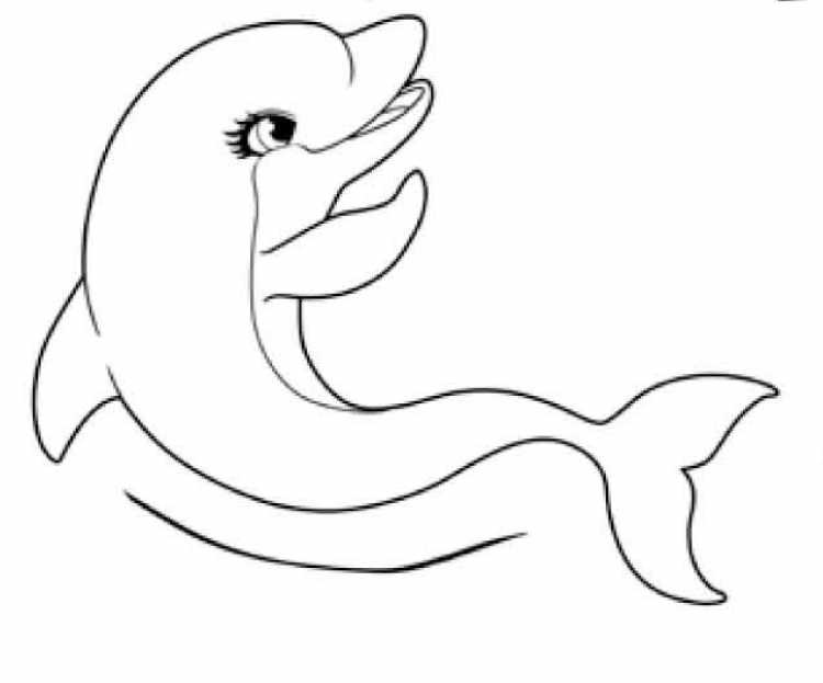 Раскраска "дельфины"