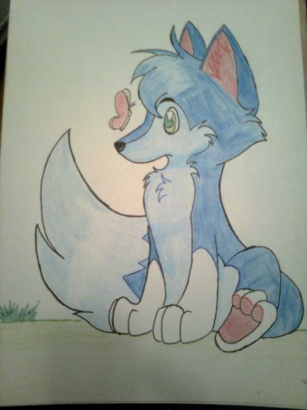 Рисунки аниме для срисовки легко звери