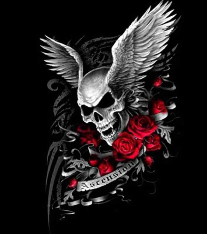 Скелет летучей мыши