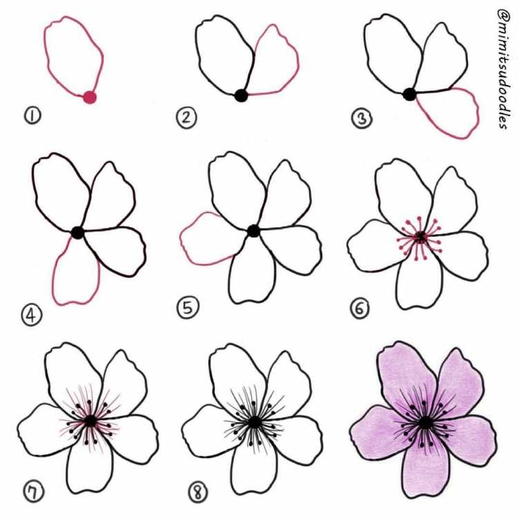 Раскраска цветы тюльпаны