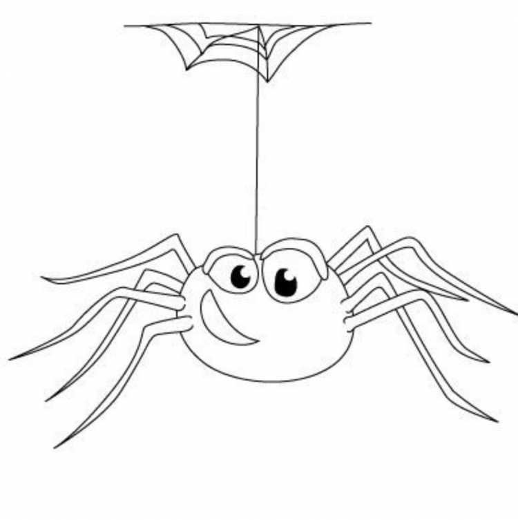 Раскраски пауки страшные