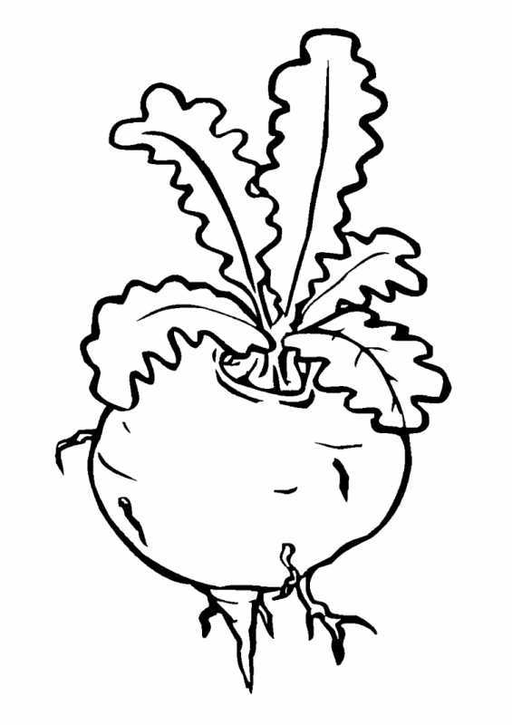 Раскраска. Репка
