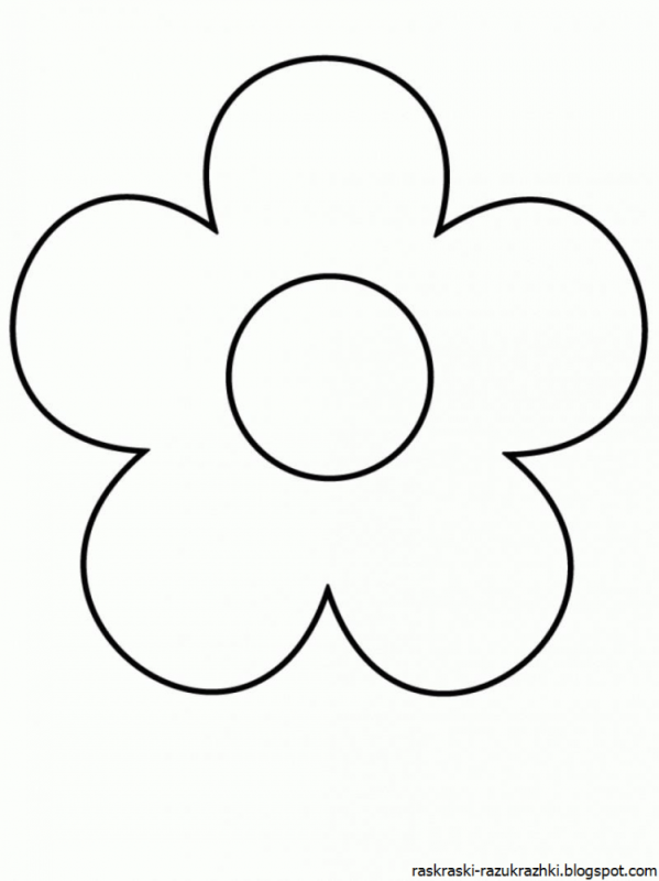 Фиалка для срисовки