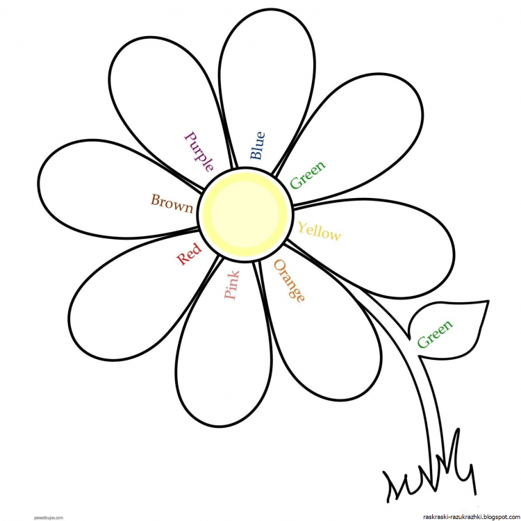 Букет ромашек раскраска