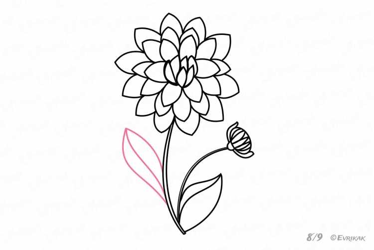 Пошаговое рисование цветов для детей