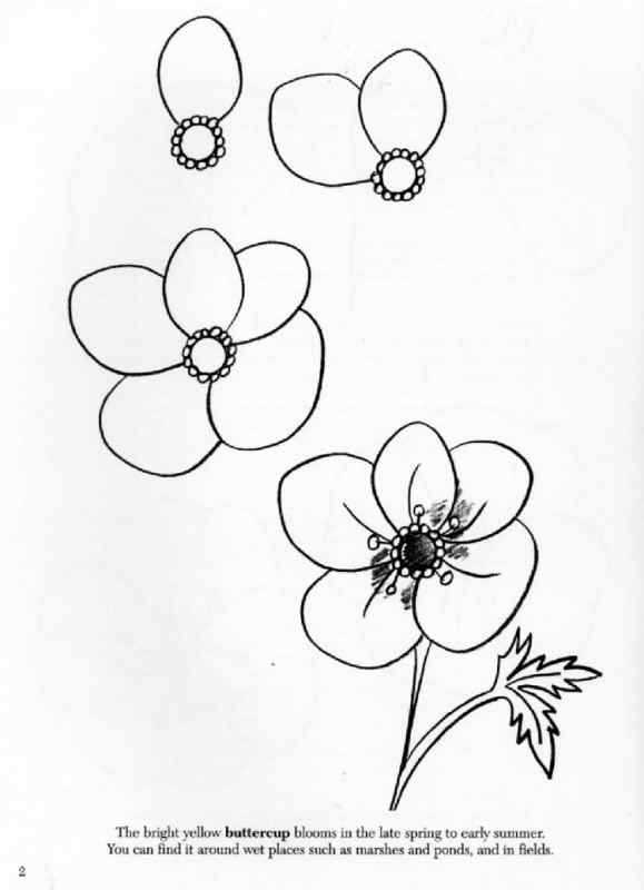 Раскраска цветочек