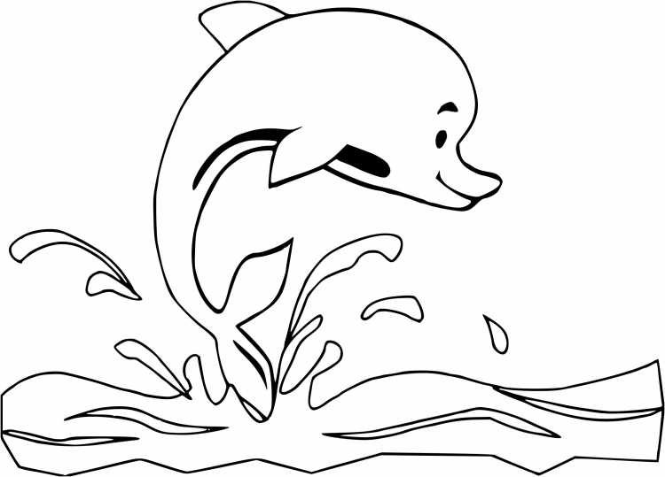 Раскраска Дельфинчик милый