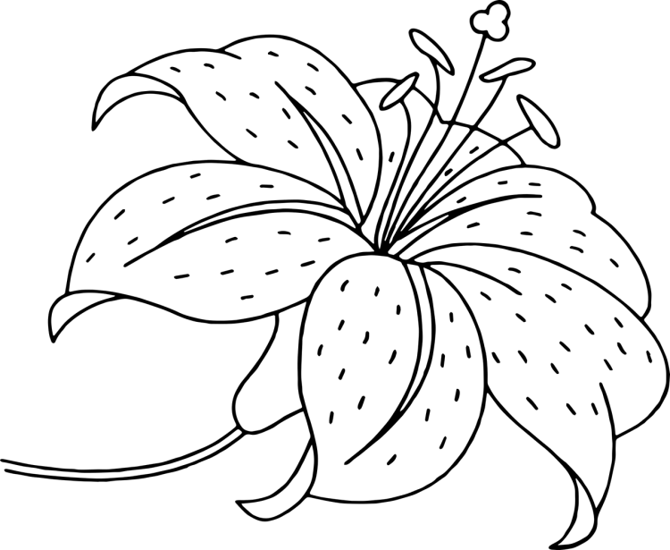 Цветок в горшке раскраска