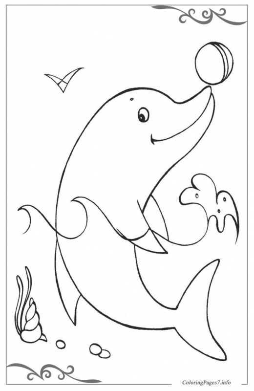Раскраска Дельфин