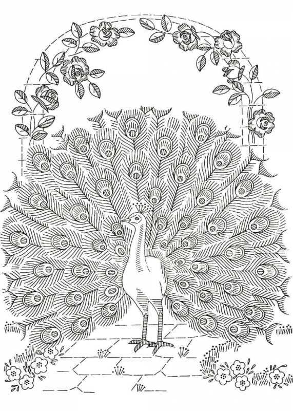 Раскраски сложные Павлины