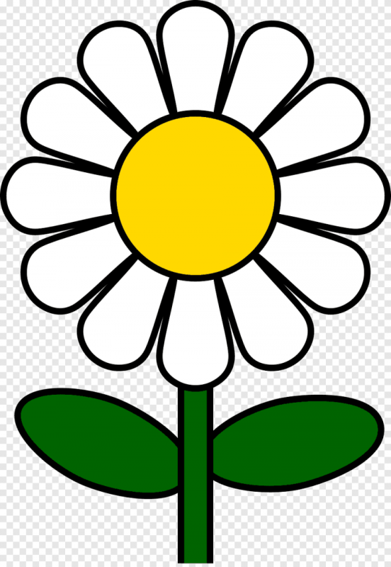 Поле ромашек раскраска