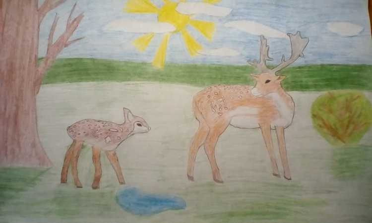 Олень восковыми мелками