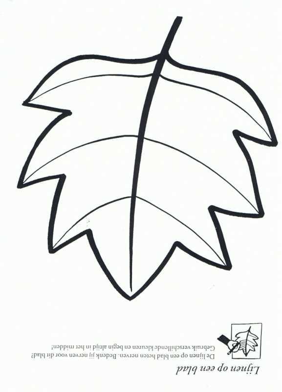 Раскраска лист и ручка