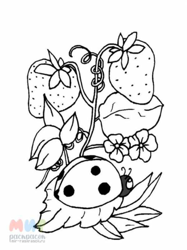 Божья коровка раскраска для детей