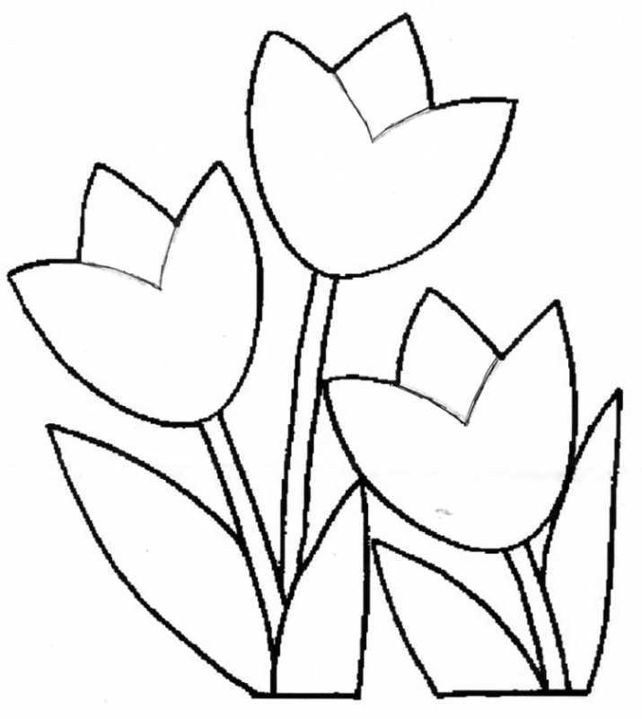 Тюльпаны в вазе карандашом