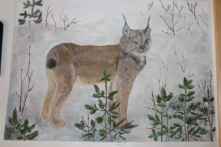 Рисунки животных Сибири