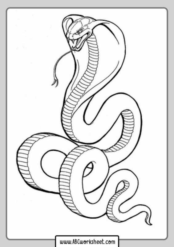 Анаконда раскраска