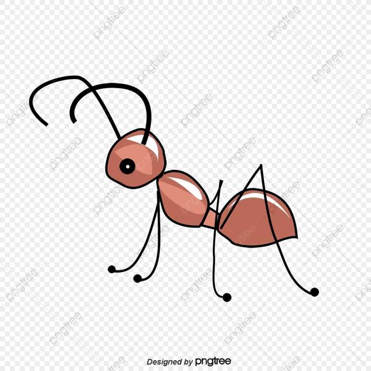 Муравей спит