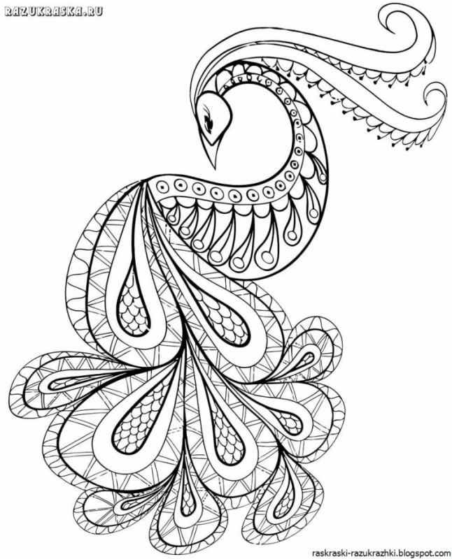 Хвост павлина контур