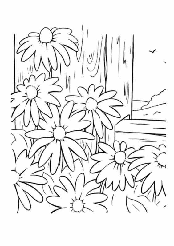 Цветы для раскрашивания