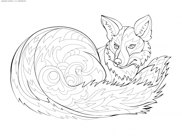 Раскраска Лисичка