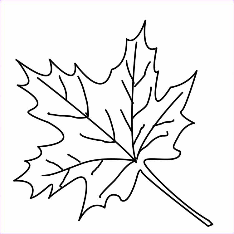 Трафареты "листья"