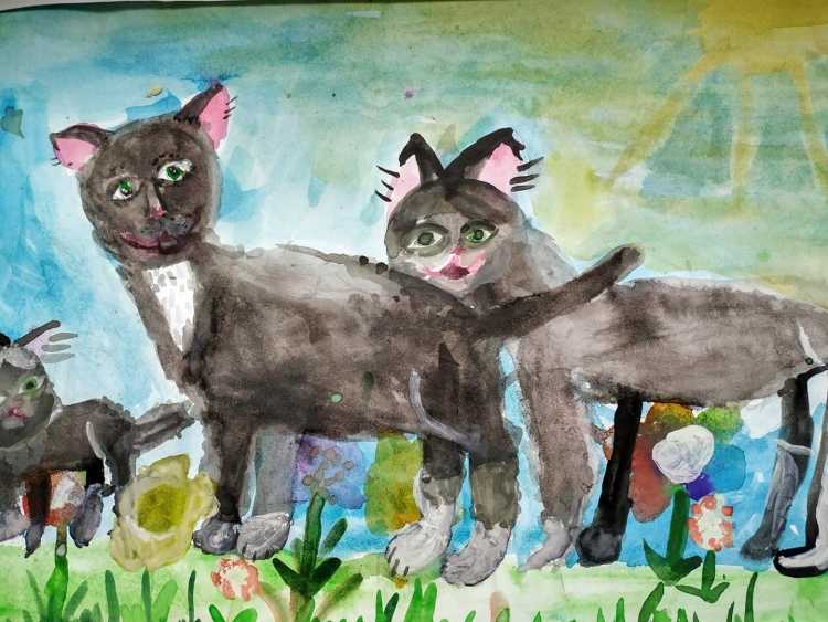 Конкурс рисунков бездомных животных