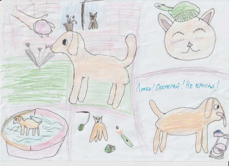 Рисунки на тему бездомные животные глазами детей