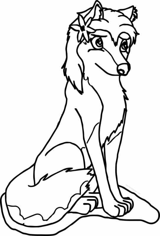Волчица раскраска для детей