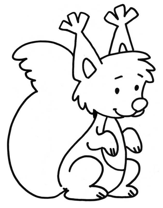 Раскраска Белочка