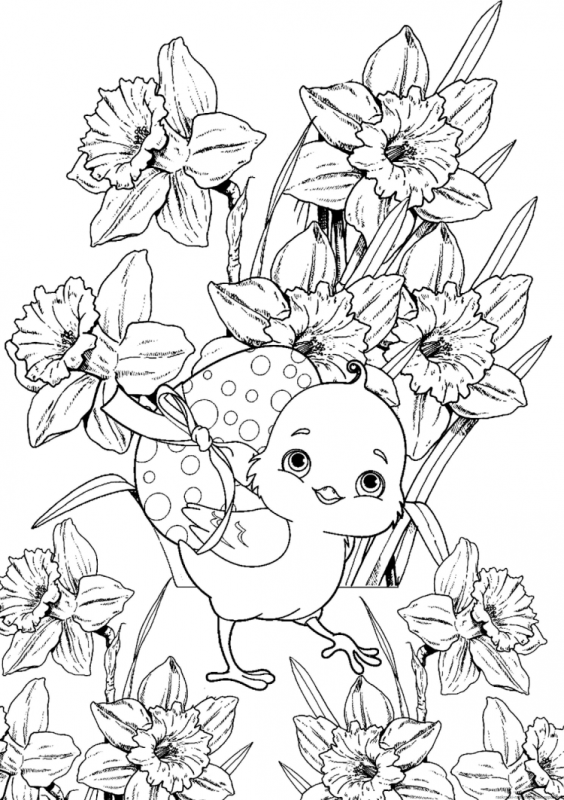 Раскраска природа