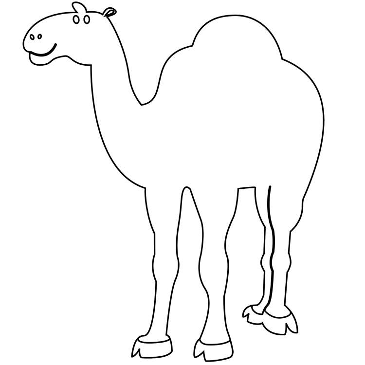 Двугорбый верблюд ареал