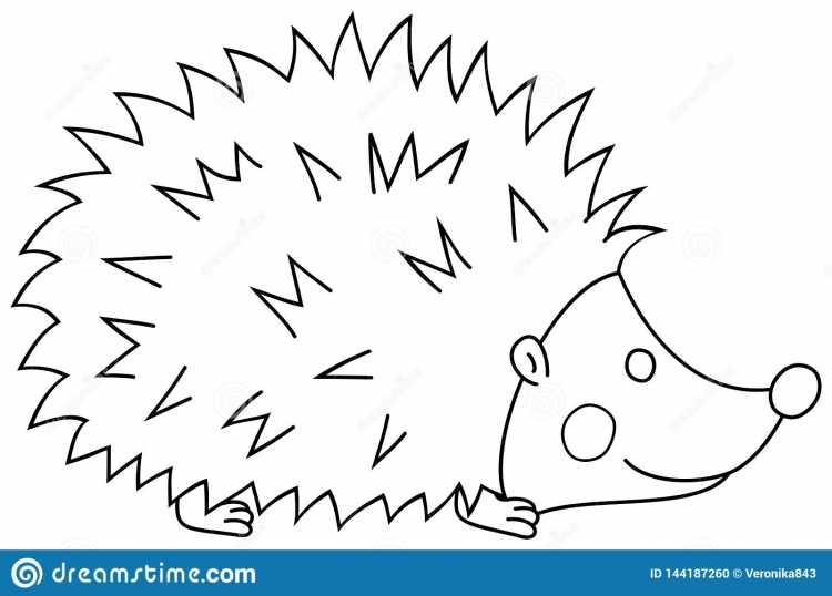 Раскраска Ёжик