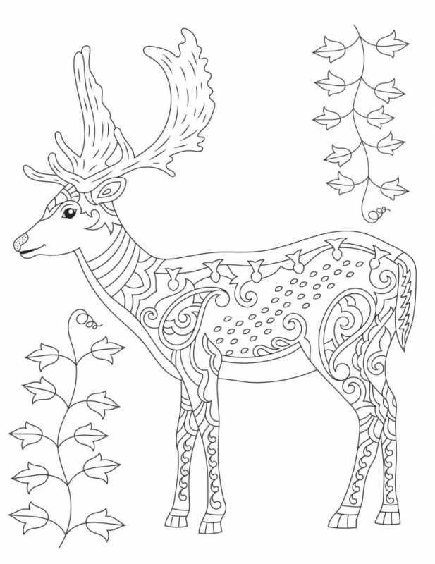 Олененок раскраска для детей