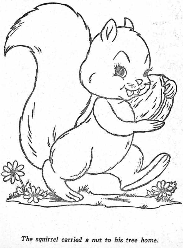 Белочка раскраска для малышей